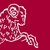 Brun de Vian Tiran logo