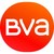 BVA Mystery Shopping logo