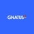 Gnatus Equipamentos Medico-Odontológicos logo