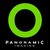 Panoramic Imaging Ltd logo