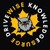 DriveWise logo