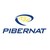 Grupo Pibernat logo