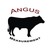 Angus Measurement Services, LP logo