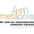 Metapolis logo