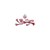 Guernsey Financial Services Commission (GFSC) logo