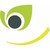 APEX Franchises logo