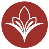 Dimotiss B.S.P. logo