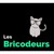 Les Bricodeurs logo