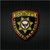 Logo di Nighthawk Security Company