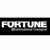 Fortune International Transport srl logo