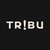 Agence Tribu - MV Group logo