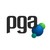 Polska Grupa Audytorska logo