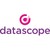 DataScope Systems logo