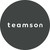 Teamson logo