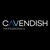 Cavendish Professionals logo