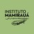 Mamiraua Institute – Brazilian Ministry of Science, Technology and Innovation logo