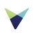 Viadex Global logo