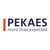 PEKAES Group logo