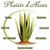 PLAISIR D'ALOES logo