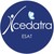 ESAT CEDATRA logo