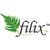Filix Consulting Pvt. Ltd. logo