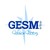 GESM S.p.A. Fashion Factory logo