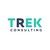 TREK Consulting logo