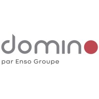 DOMINO SAS logo
