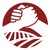 CEFA Il seme della solidarietà logo