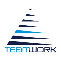 TEAMWORK SYSTEM INFRASTRUCTURE logo