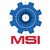 MSI services logo