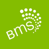 Logo di BMS | Bankruptcy Management Solutions, Inc.