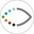 Lions World Vision Institute logo