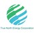 True North Energy Corporation logo