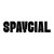 Spaycial logo