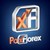 PaxForex Company logo