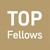 TU Wien TOP Fellows logo