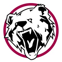 Big Bear Energy Services logo