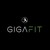 GIGAFIT logo