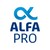 ALFA PRO IT logo