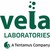 VelaLabs logo
