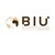 BIU Consulting logo