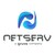 NetServ logo