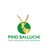 Logo di Pind Balluchi