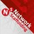 Network Scaffolding Logo