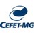 CEFET-MG logo