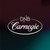DNB Carnegie logo
