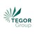 TEGOR Group logo