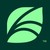 Spring Health logo