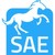 SAE TRASPORTI - Società Autotrasporti Eccezionali S.r.l. logo